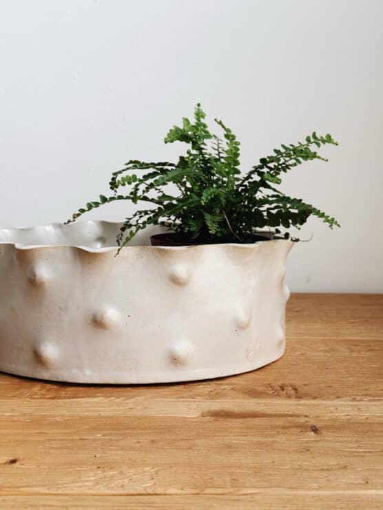 Salto 'Paloma’ Bowl or Planter - Image 3